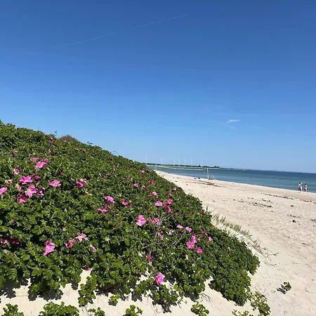 Luxury Retreat - By Traum Tatil Evi *